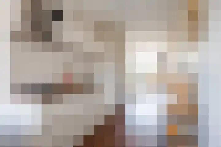 Meerpaal 89 Groningen thumbnail 10