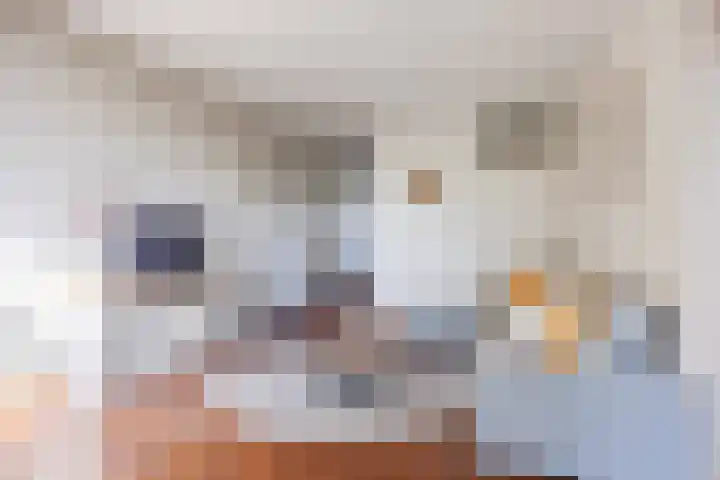 Meerpaal 89 Groningen thumbnail 16