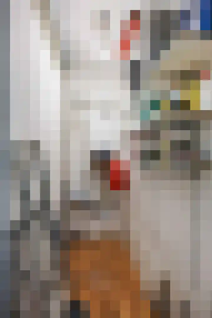 Meerpaal 89 Groningen thumbnail 25