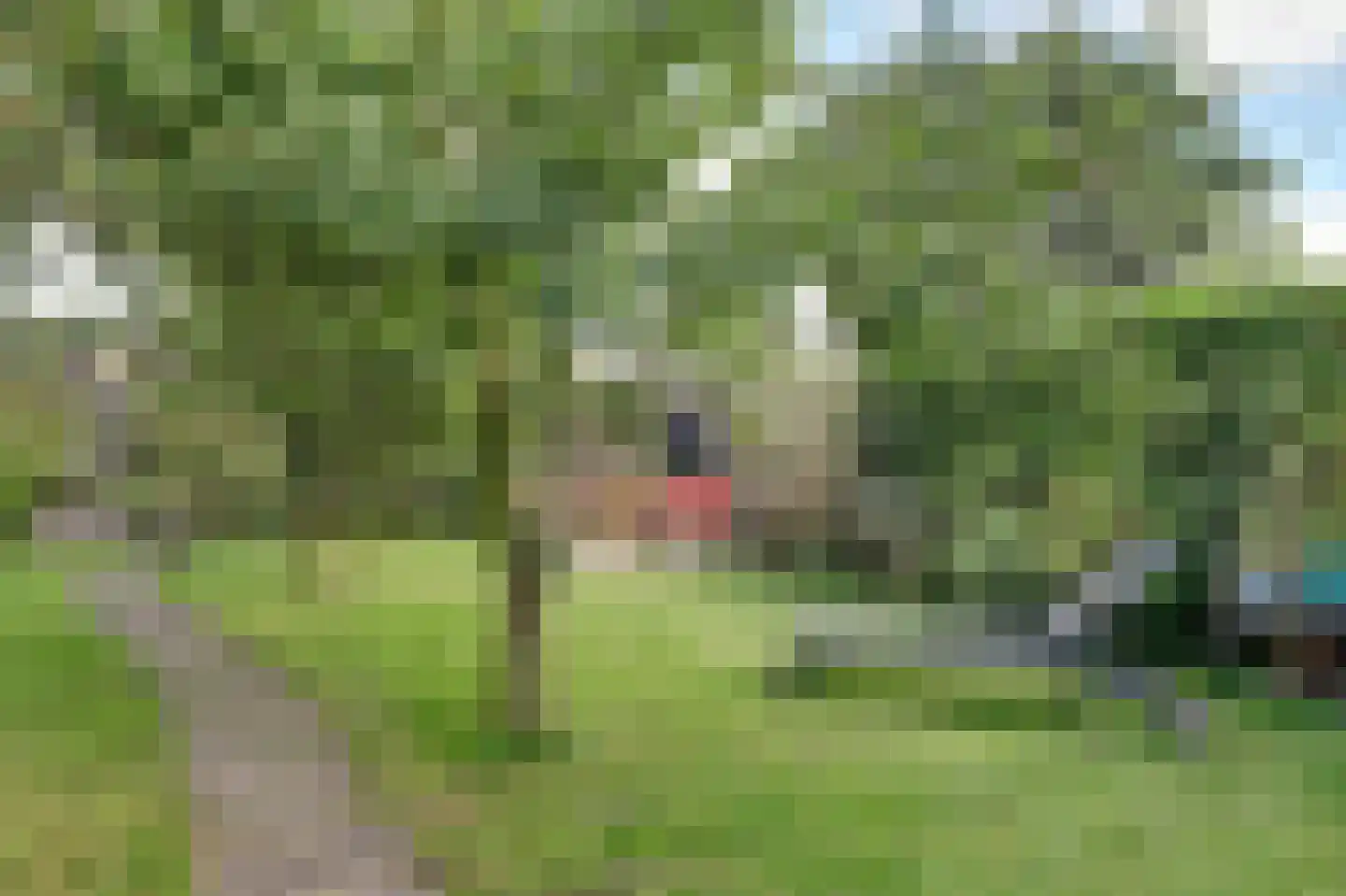 Meerpad 13 Echten thumbnail 10