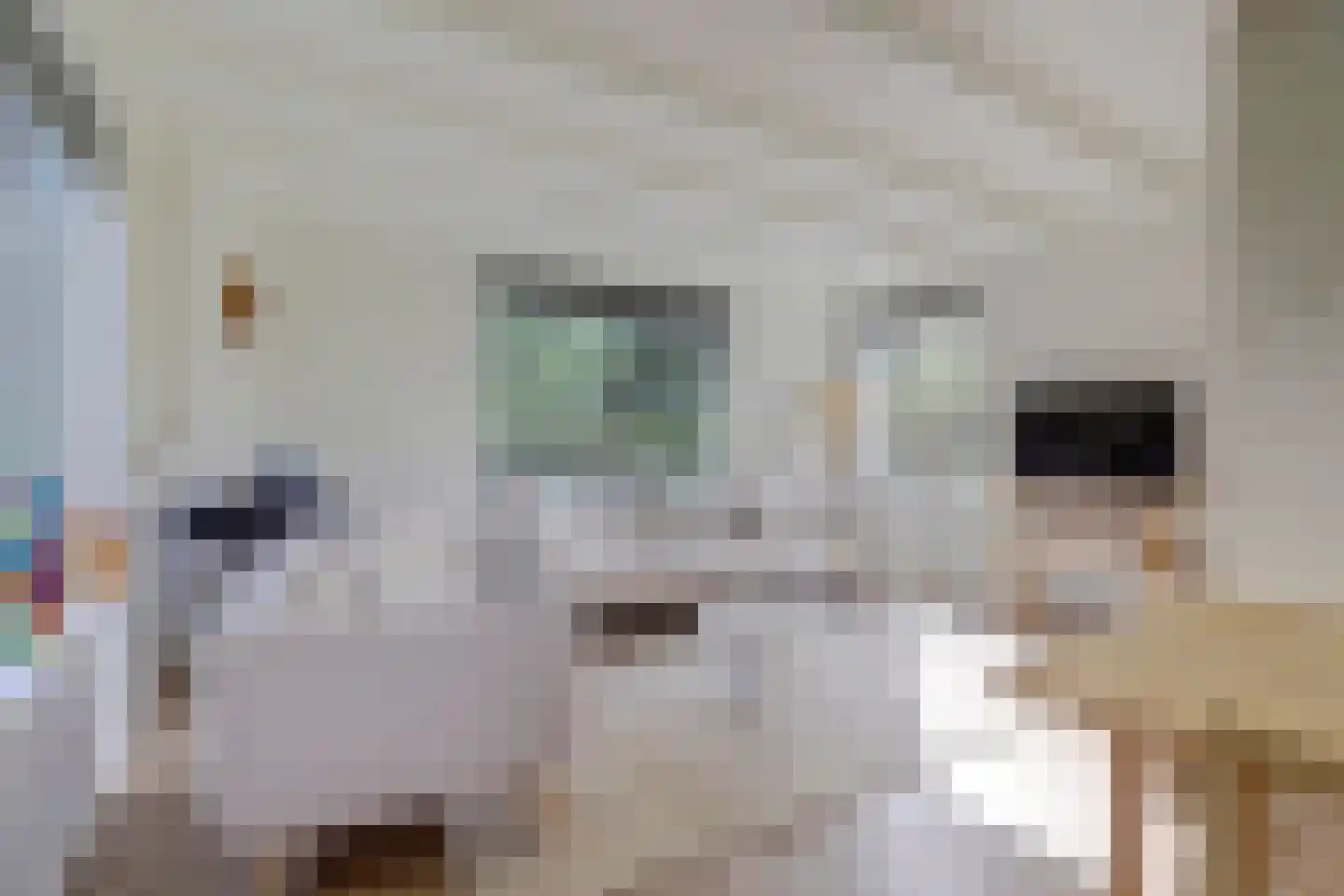 Meerpad 13 Echten thumbnail 17