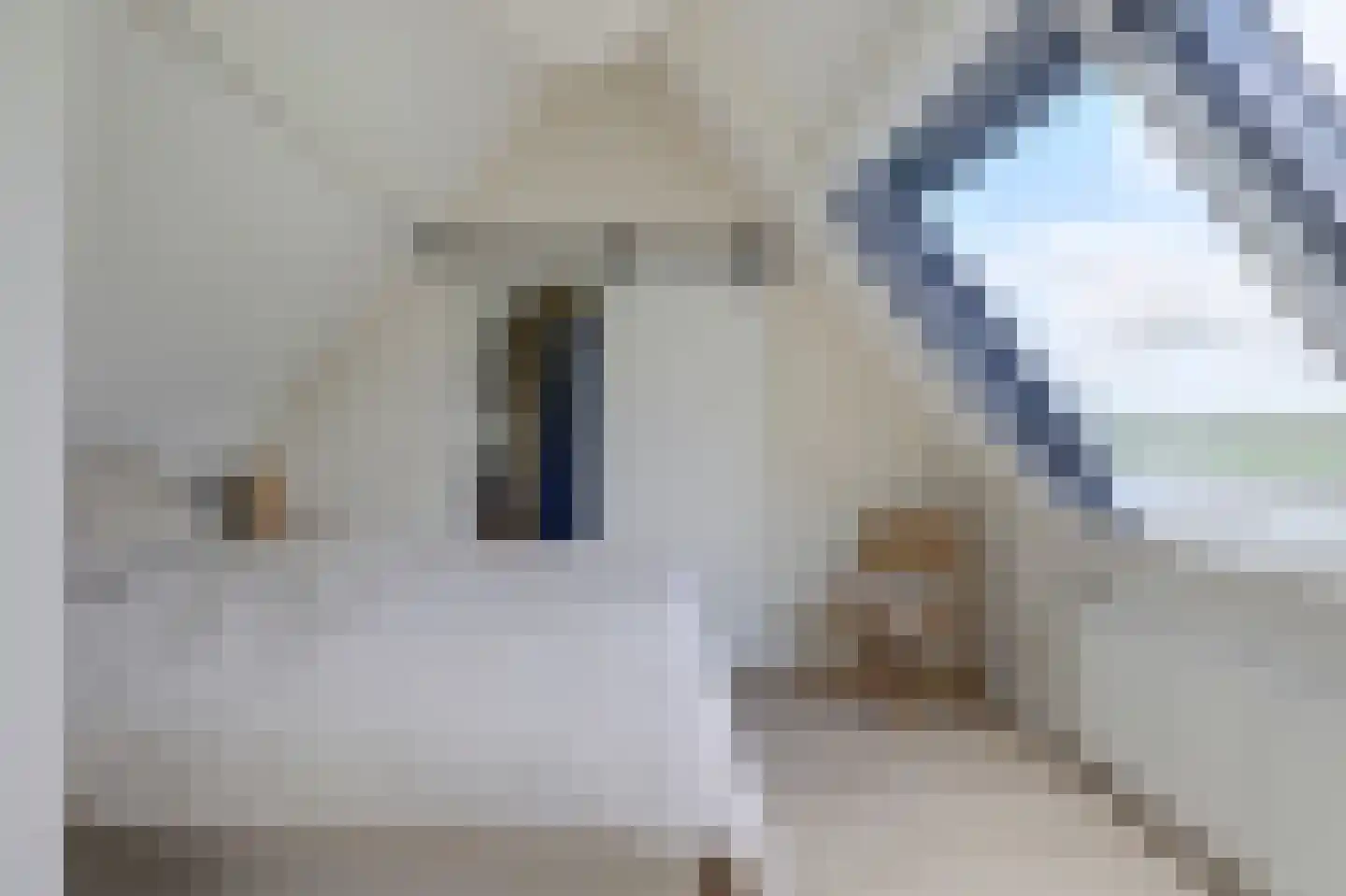Meerpad 13 Echten thumbnail 28