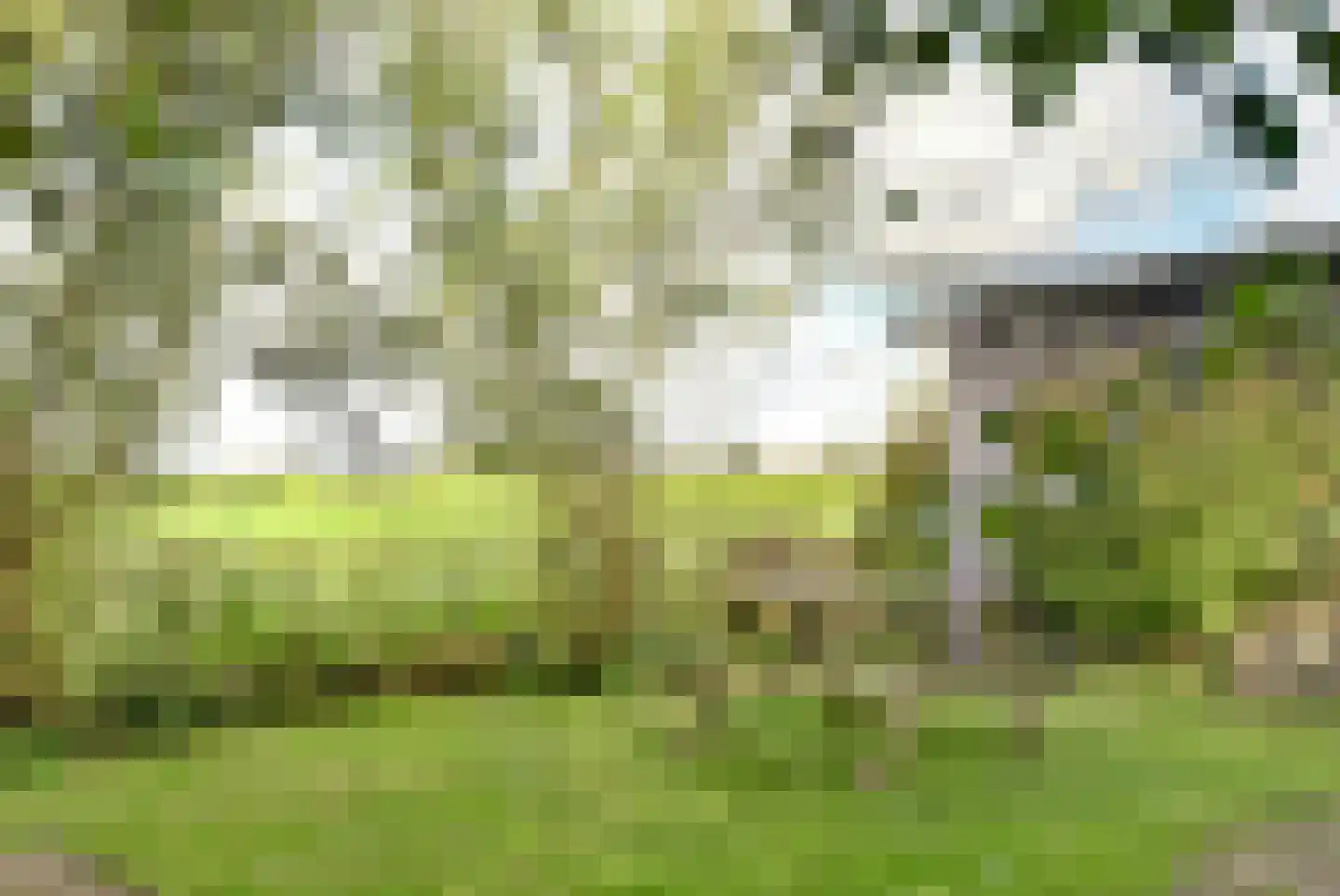 Meerpad 13 Echten thumbnail 35