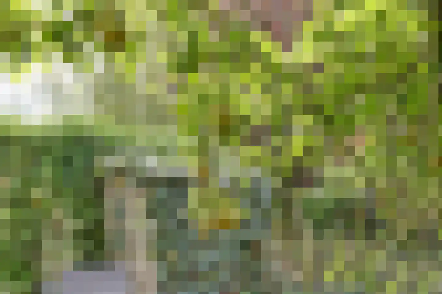 Meerpad 13 Echten thumbnail 37
