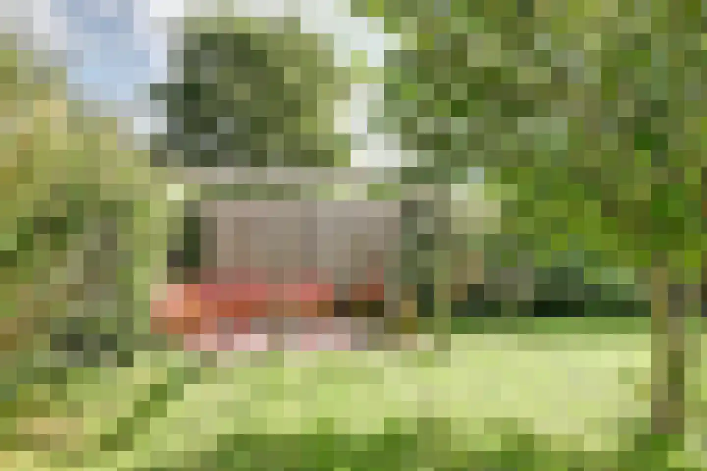 Meerpad 13 Echten thumbnail 38