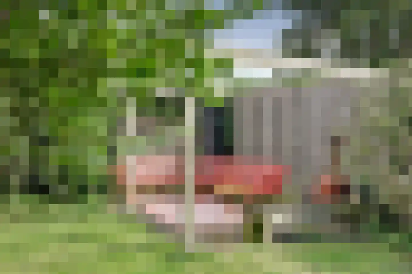 Meerpad 13 Echten thumbnail 39