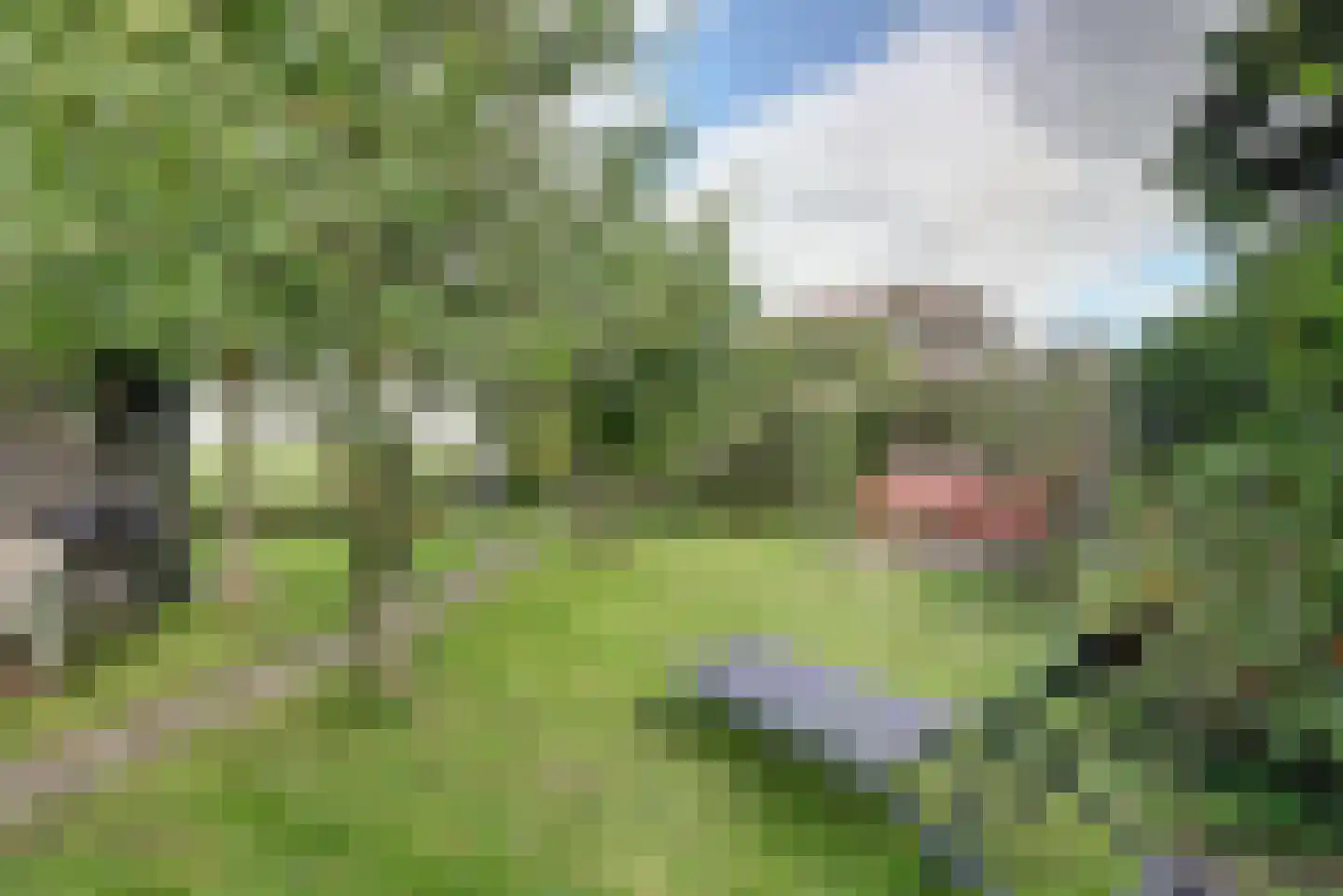 Meerpad 13 Echten thumbnail 40