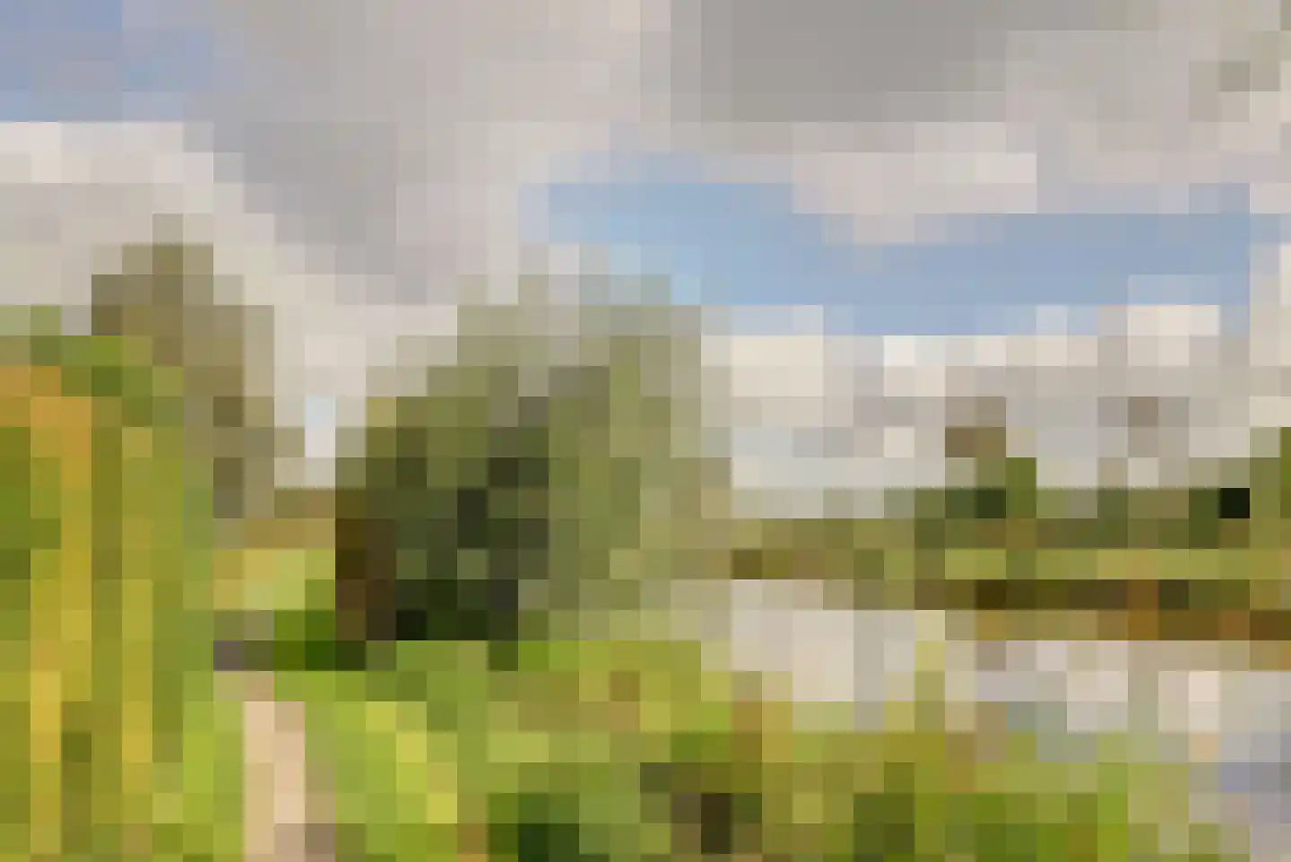 Meerpad 13 Echten thumbnail 41