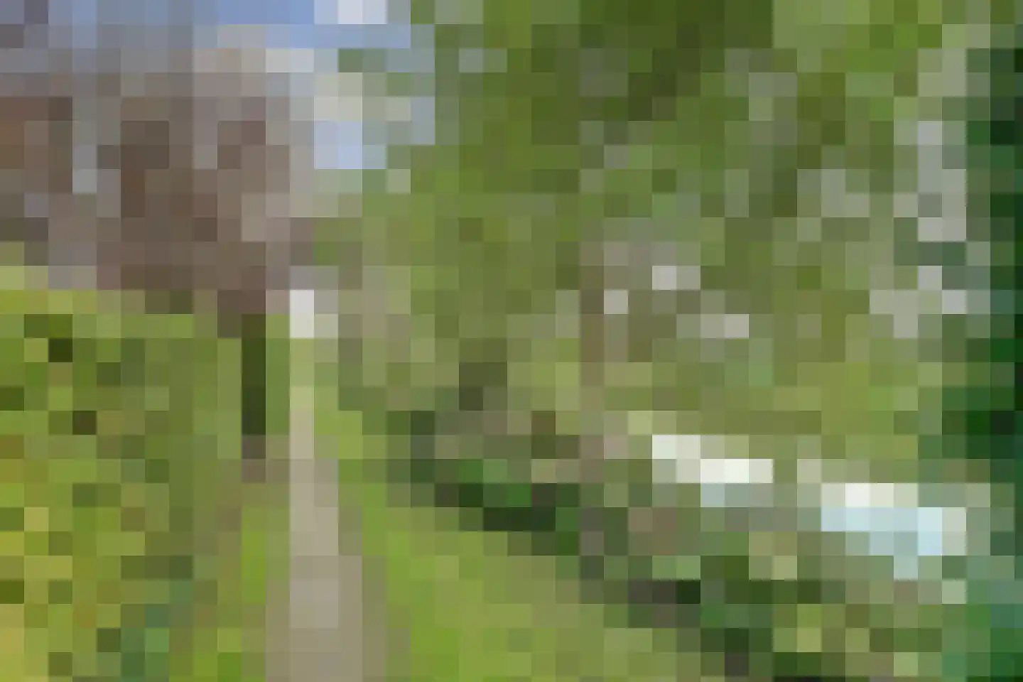 Meerpad 13 Echten thumbnail 5