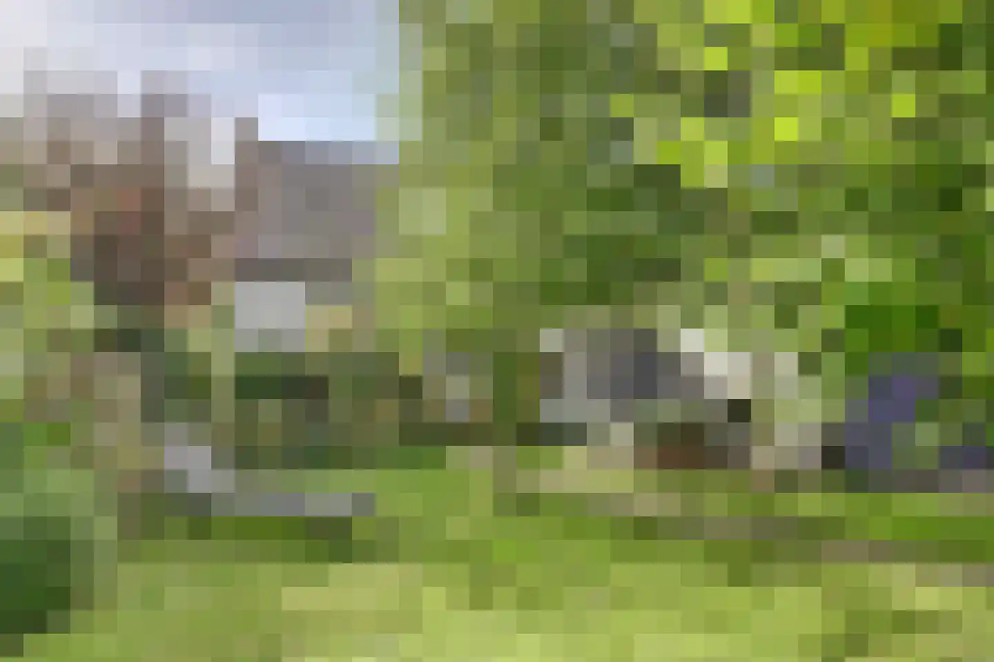 Meerpad 13 Echten thumbnail 6