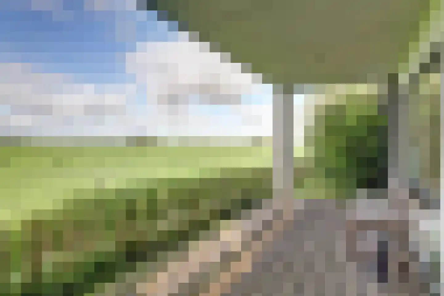 Meerpad 13 Echten thumbnail 8