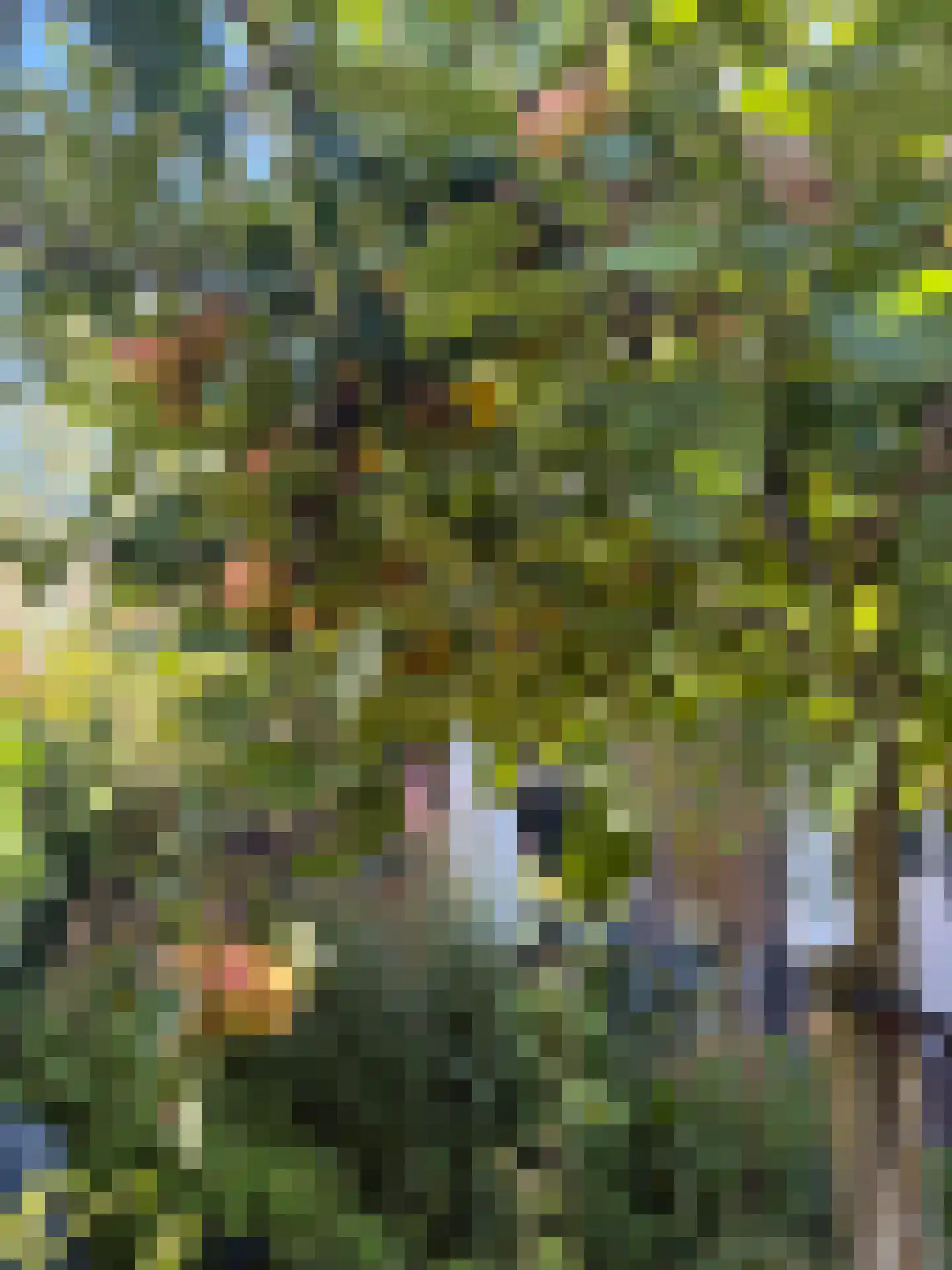 Meerpad 23 A Amsterdam thumbnail 22
