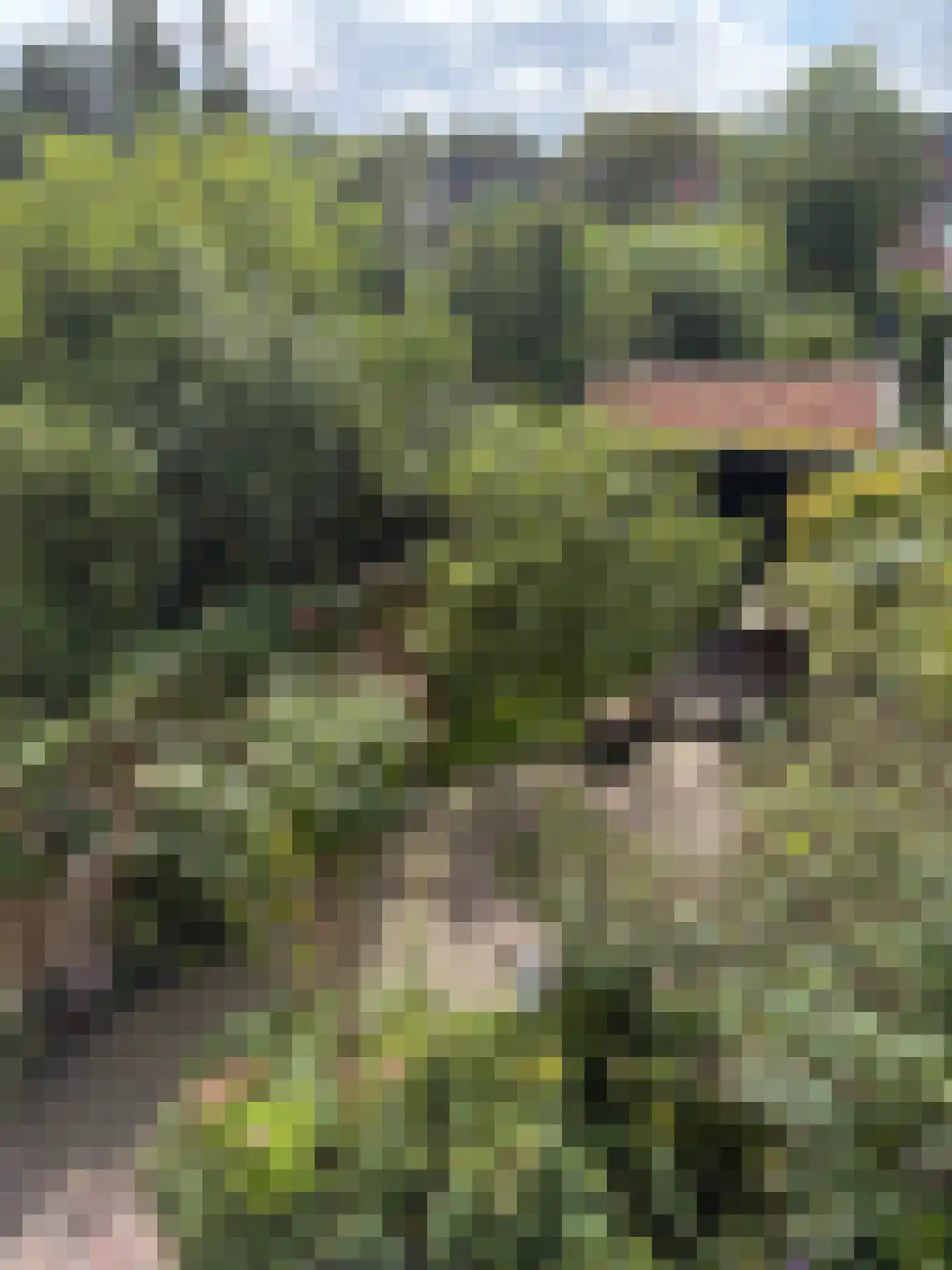 Meerpad 23 A Amsterdam thumbnail 33