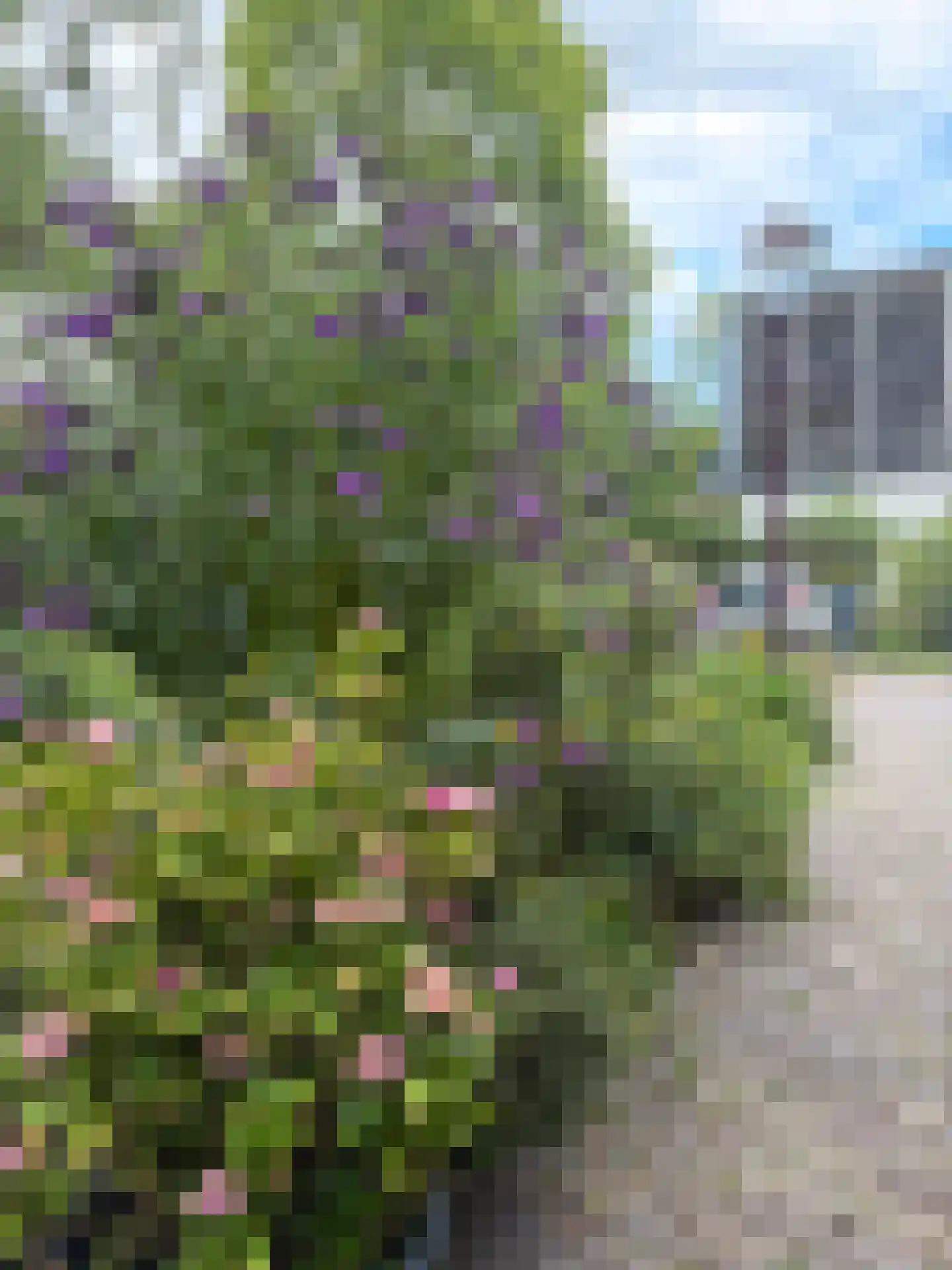 Meerpad 23 A Amsterdam thumbnail 47