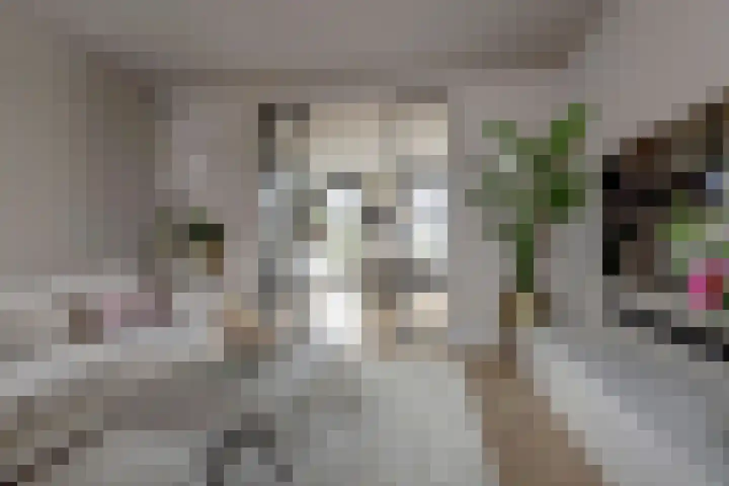 Meerpad 6 Uitgeest thumbnail 10