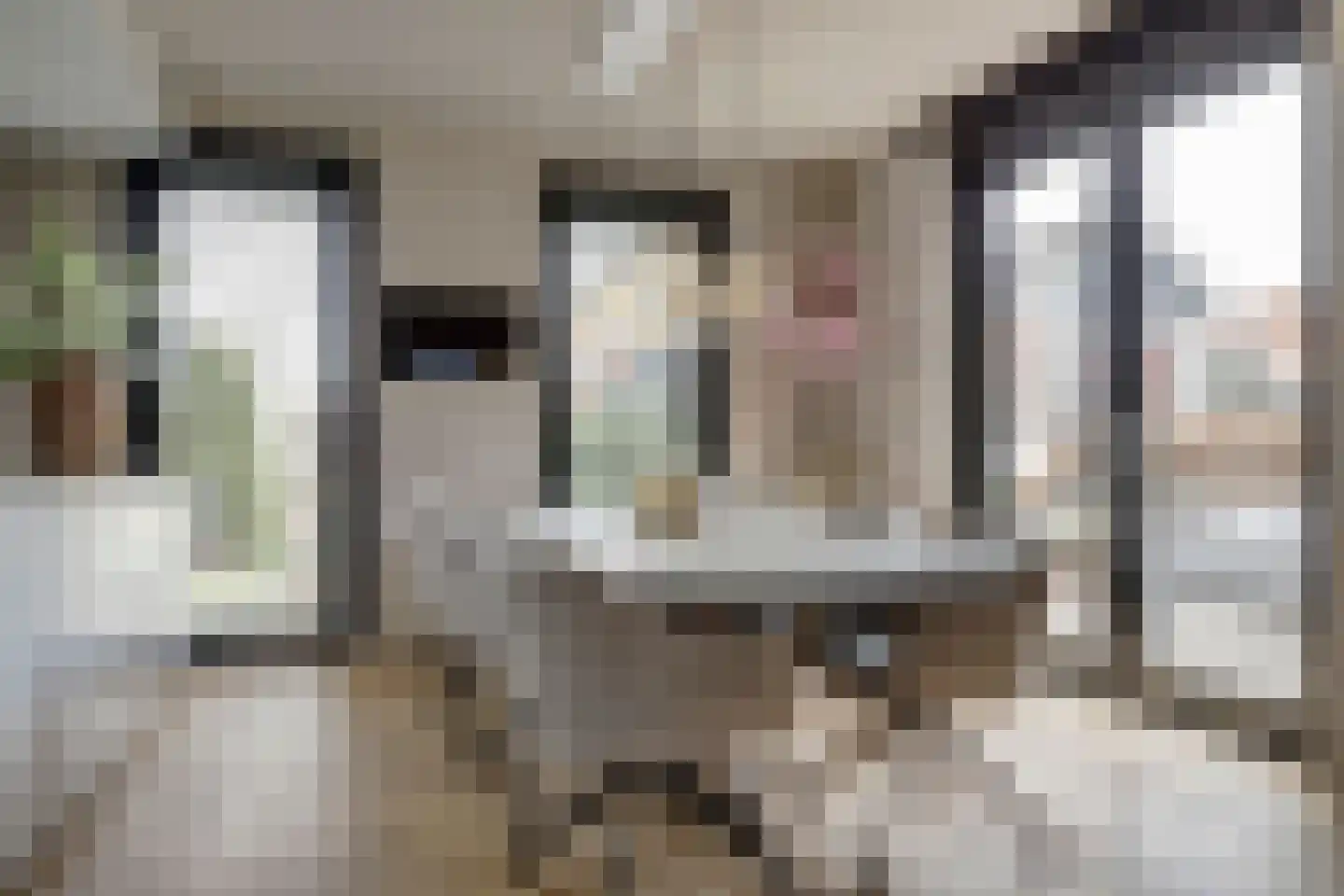 Meerpad 6 Uitgeest thumbnail 12