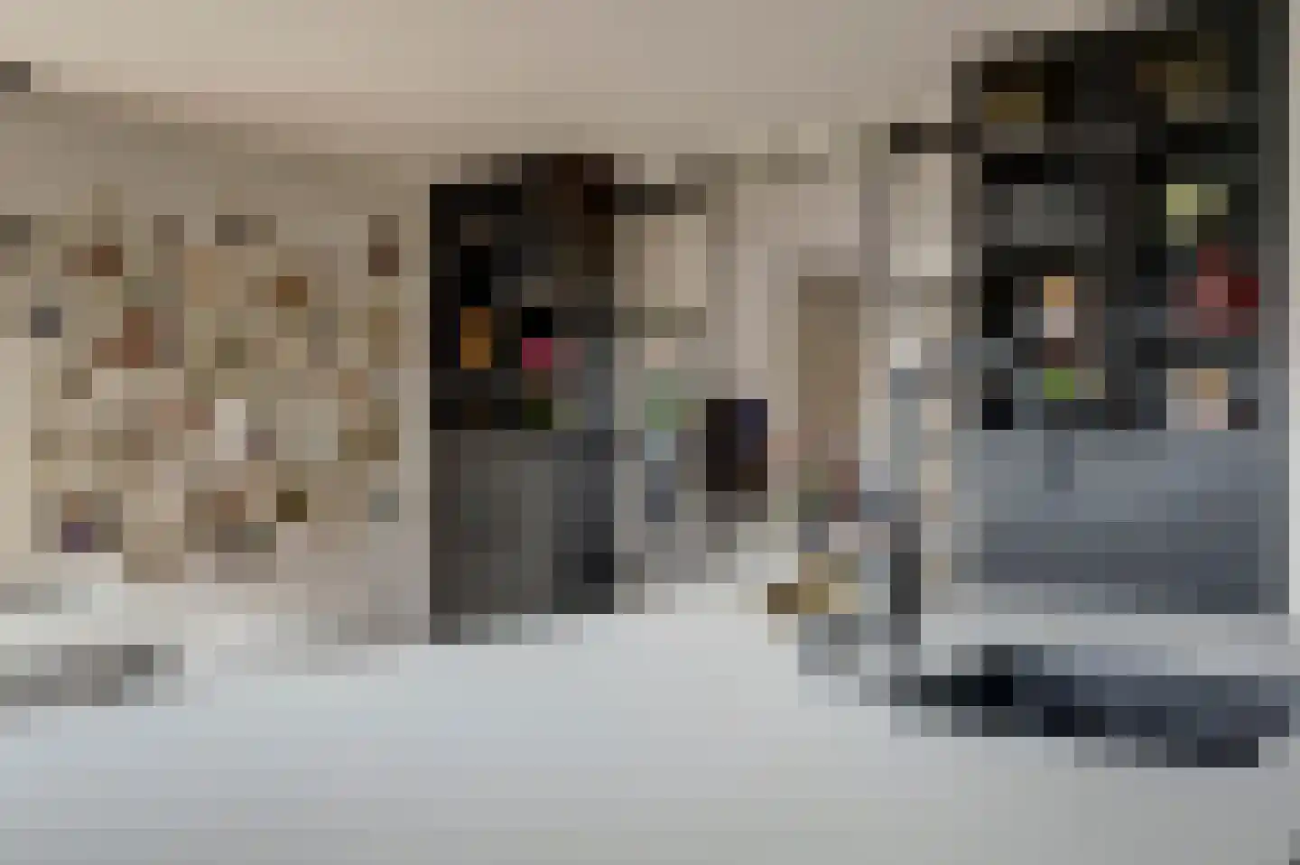 Meerpad 6 Uitgeest thumbnail 20