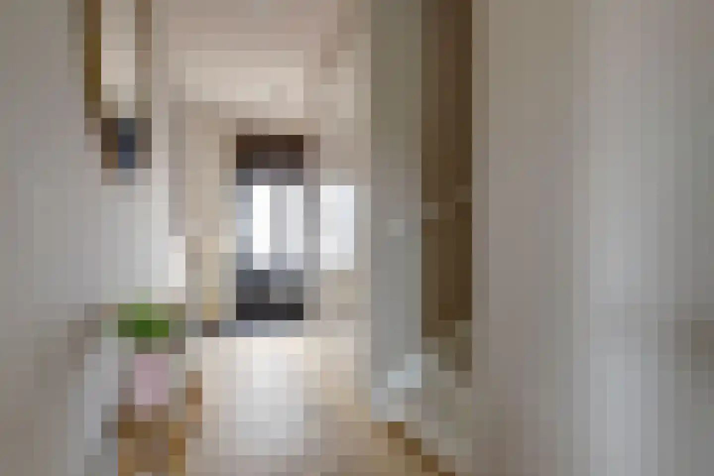 Meerpad 6 Uitgeest thumbnail 22