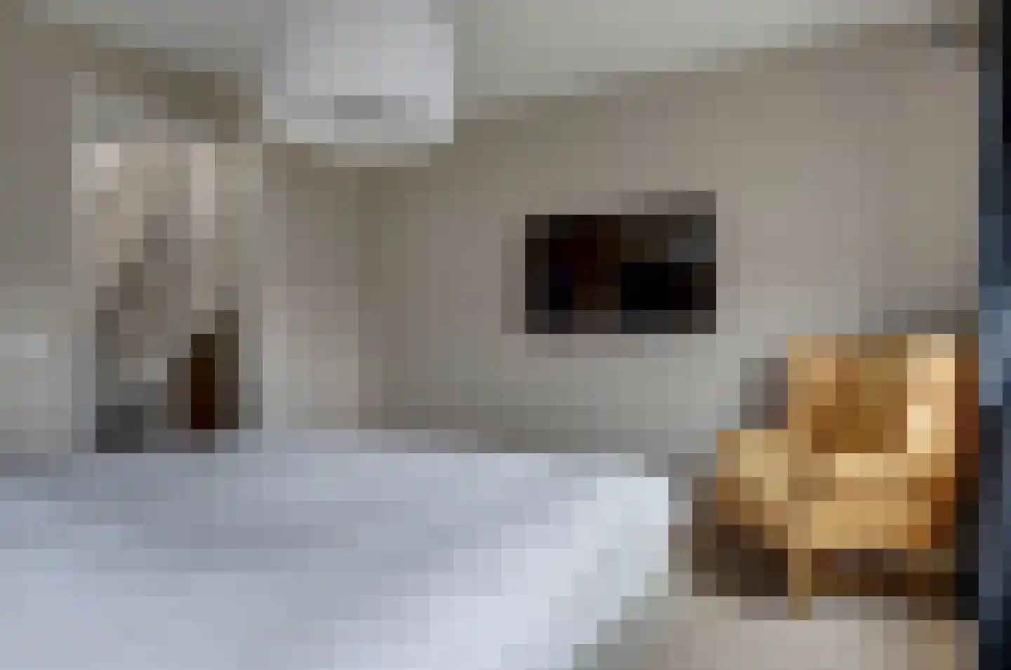 Meerpad 6 Uitgeest thumbnail 26
