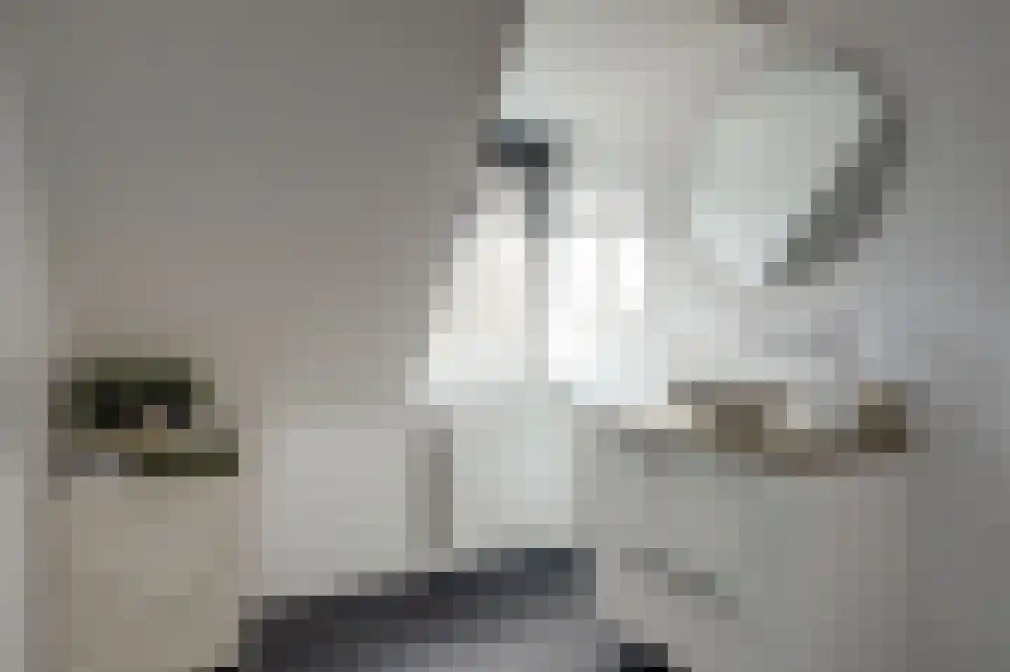 Meerpad 6 Uitgeest thumbnail 42