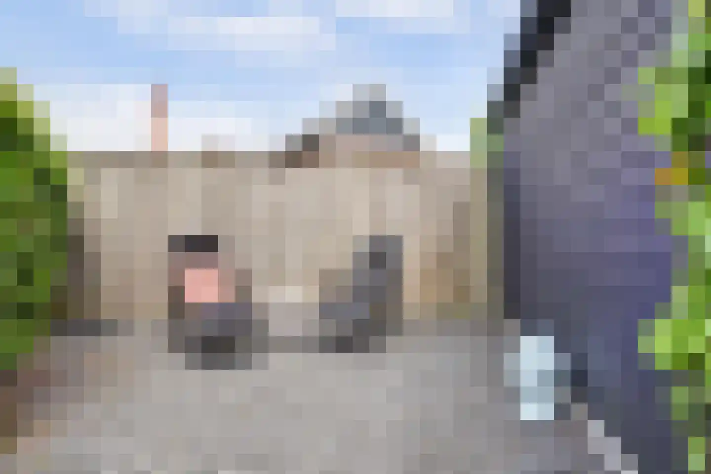 Meerpad 6 Uitgeest thumbnail 59