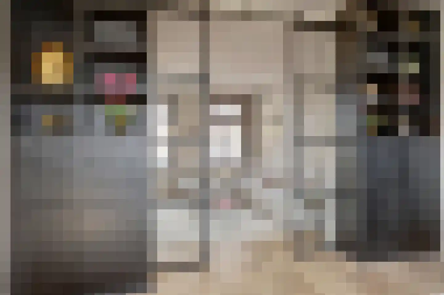 Meerpad 6 Uitgeest thumbnail 6