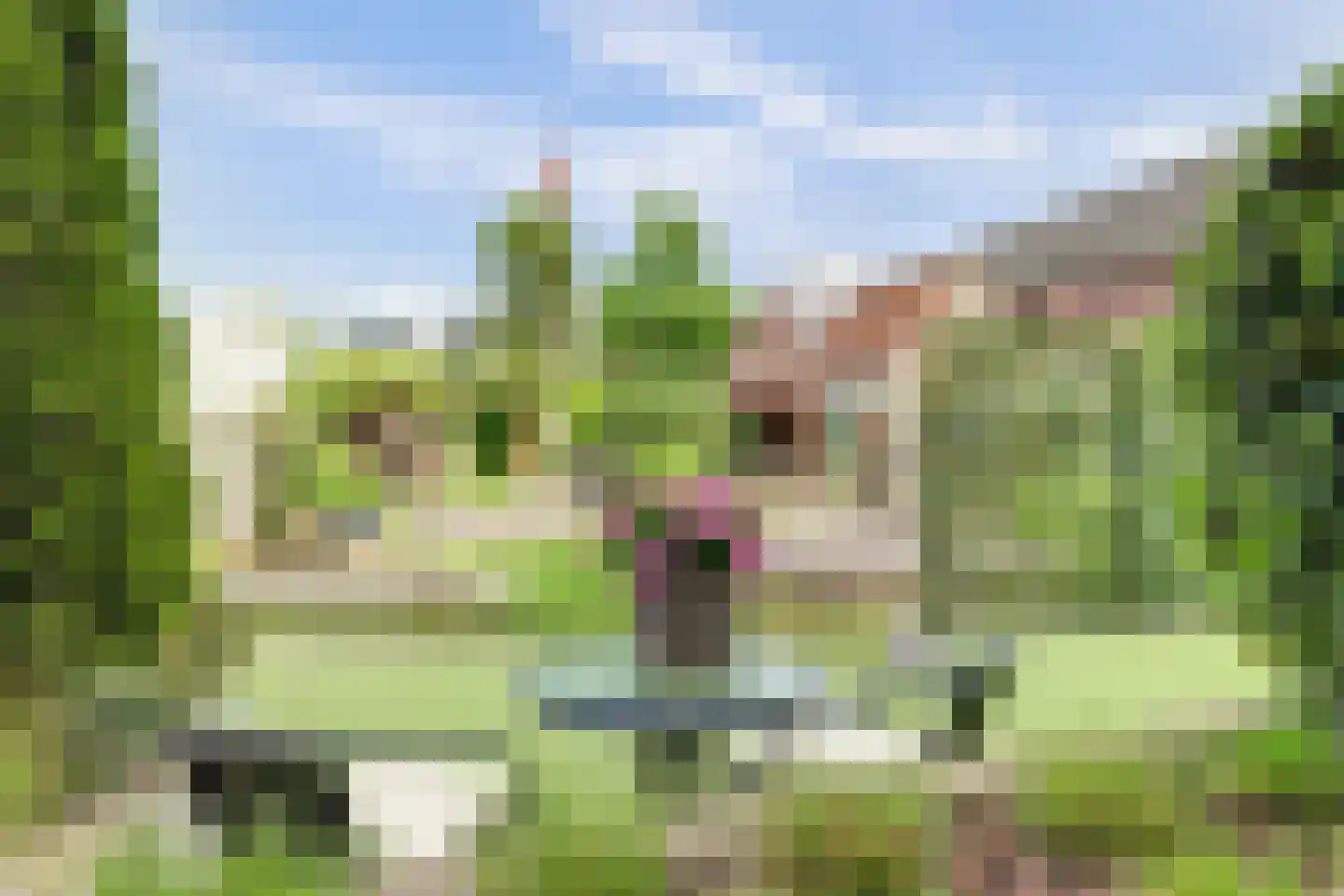 Meerpad 6 Uitgeest thumbnail 67
