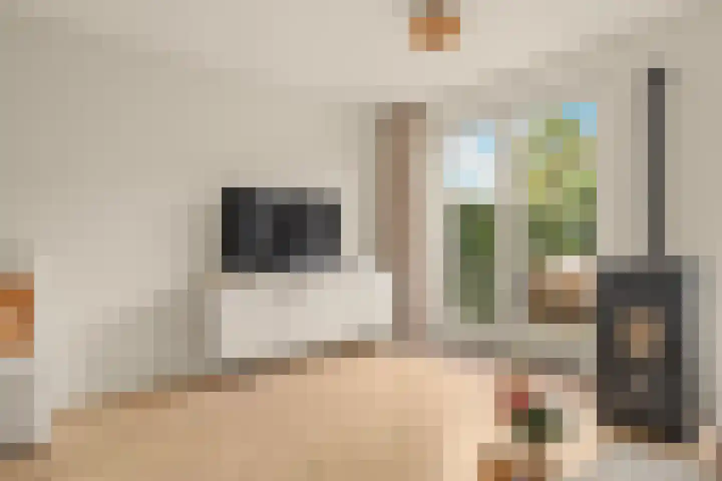 Meerpad 7 Uitgeest thumbnail 11