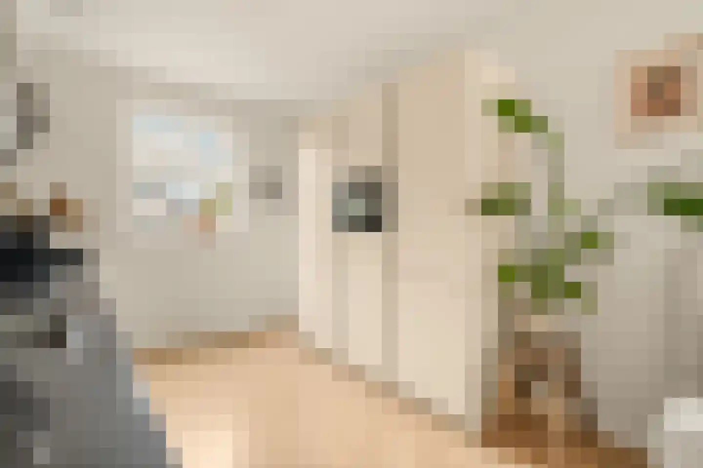 Meerpad 7 Uitgeest thumbnail 18