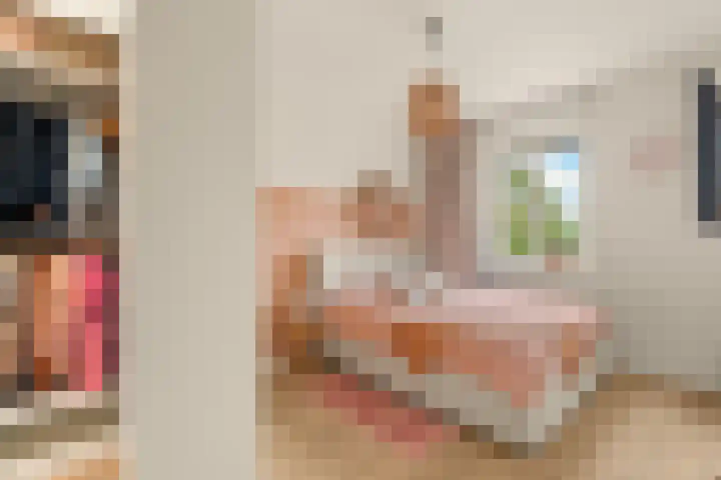 Meerpad 7 Uitgeest thumbnail 27