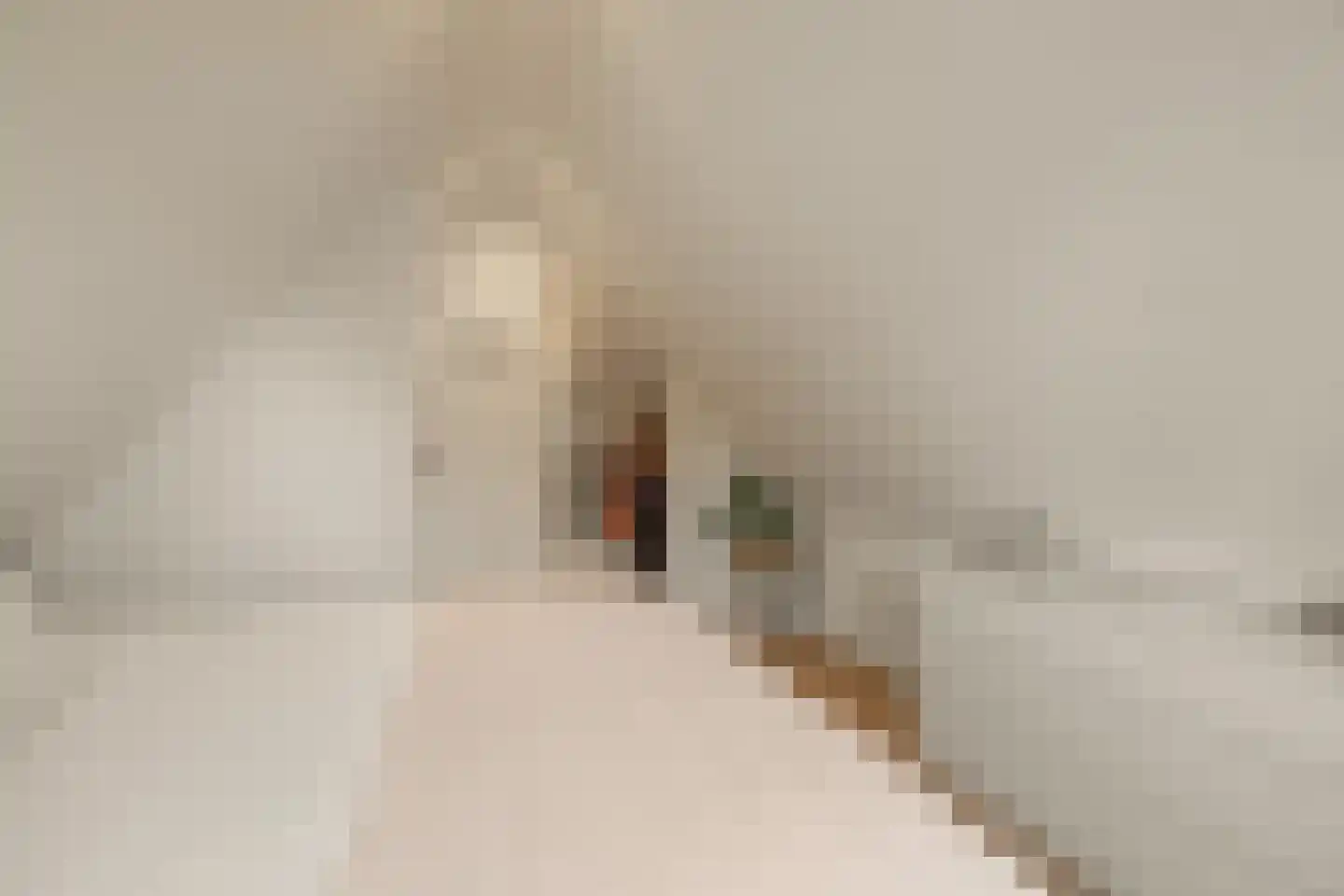 Meerpad 7 Uitgeest thumbnail 41