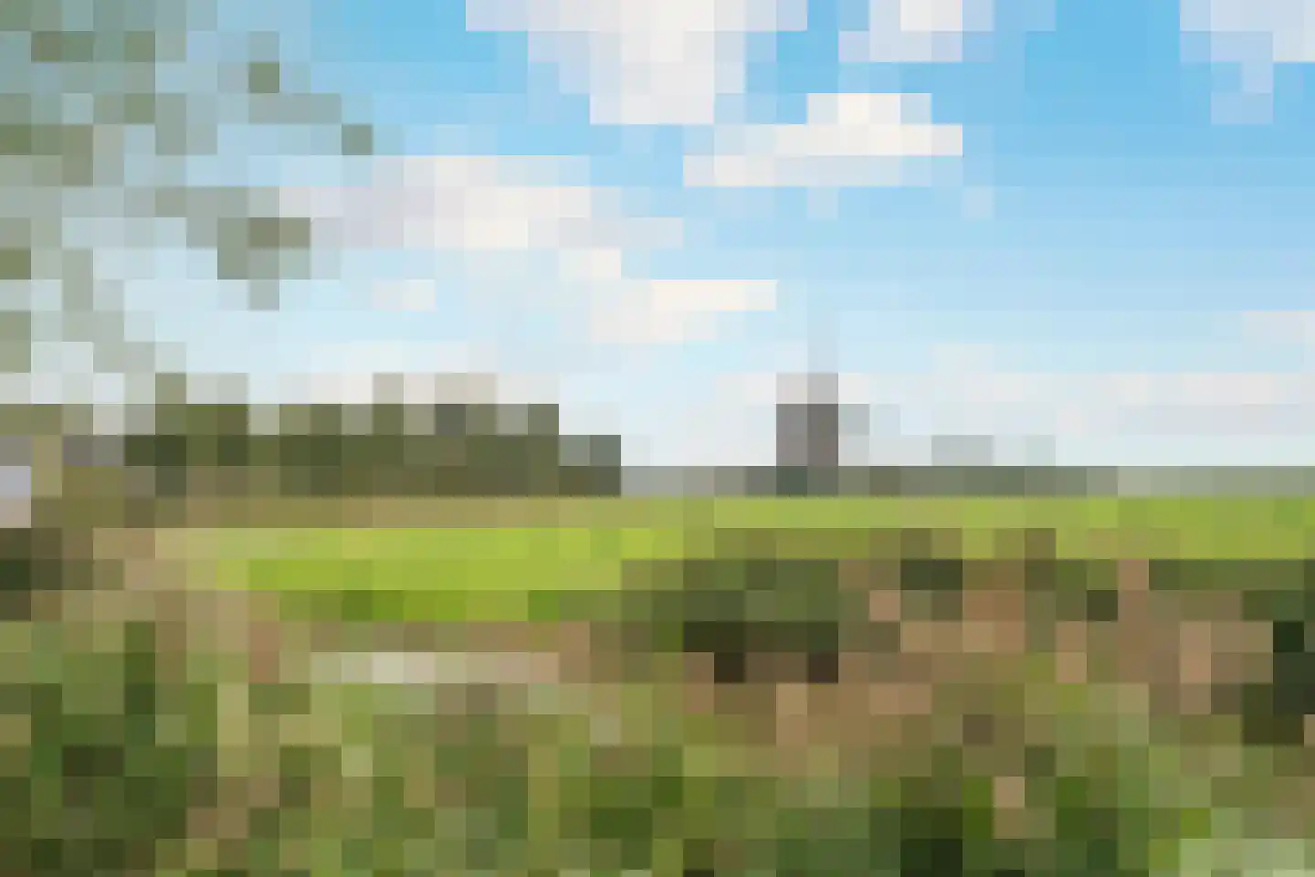 Meerpad 7 Uitgeest thumbnail 52