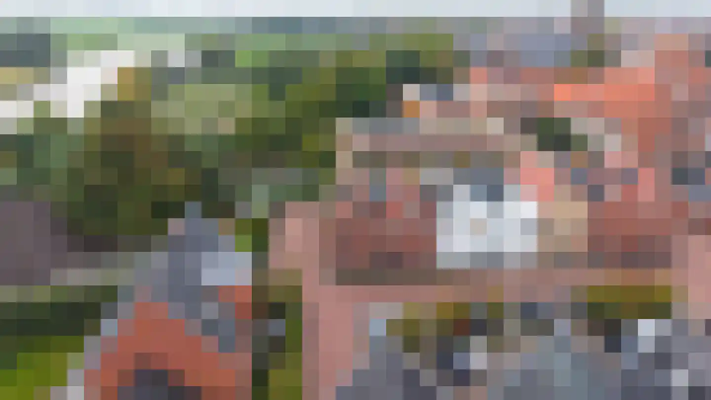 Meerpad 7 Uitgeest thumbnail 55