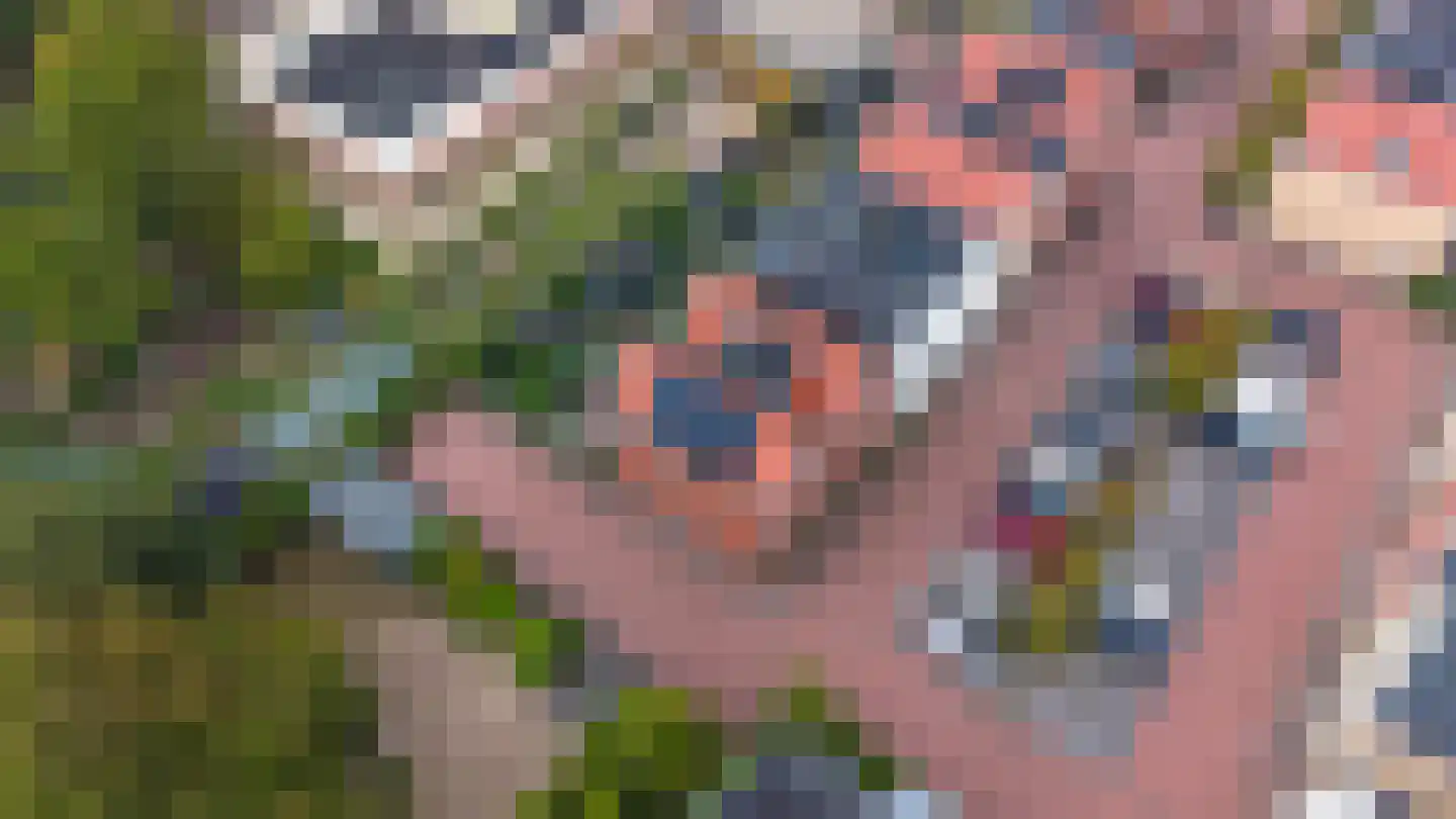 Meerpad 7 Uitgeest thumbnail 56