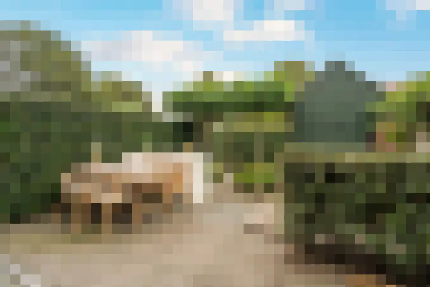 Meerpad 7 Uitgeest thumbnail 6