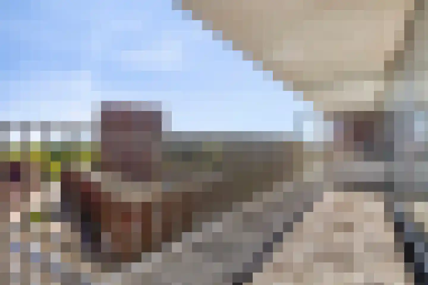 Meerplein 107 Eindhoven thumbnail 14