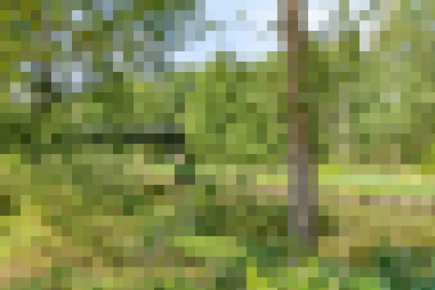 Meerplein 110 Eindhoven thumbnail 29