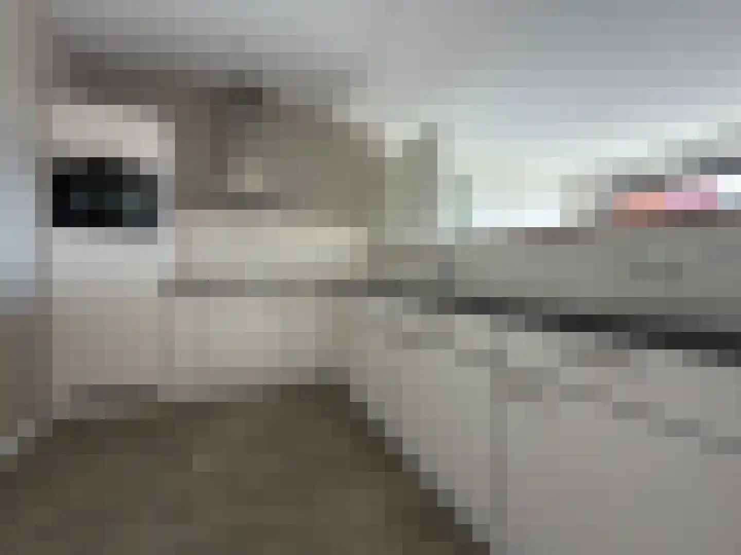 Meerplein 46 Eindhoven thumbnail 13