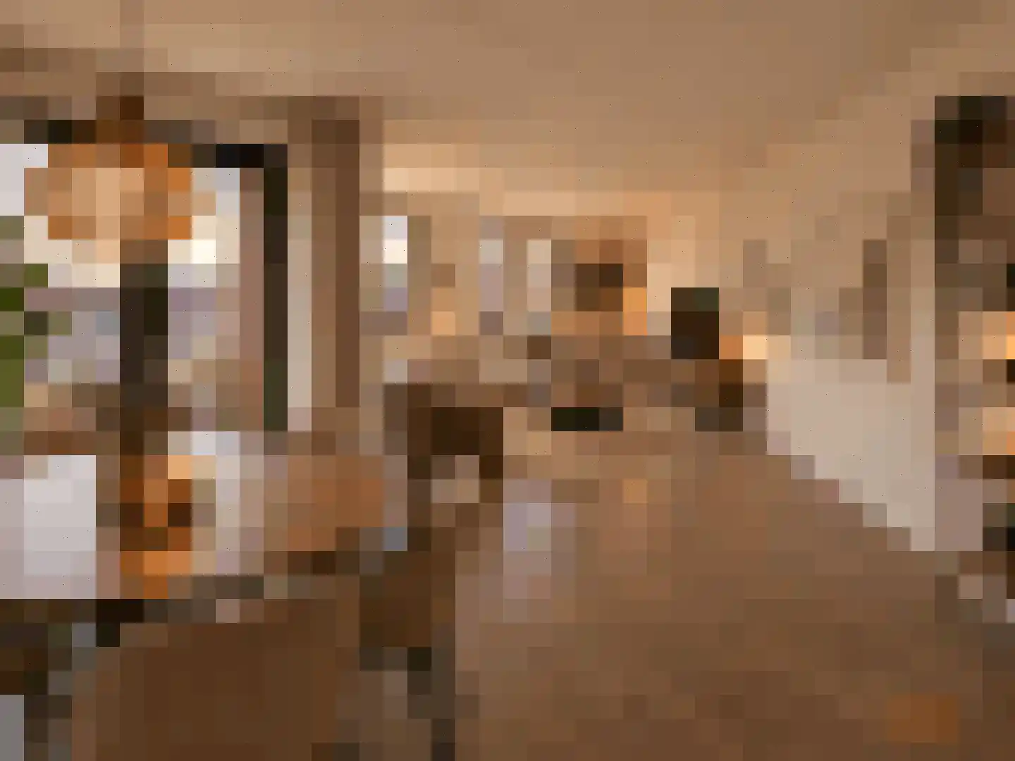 Meerplein 46 Eindhoven thumbnail 4