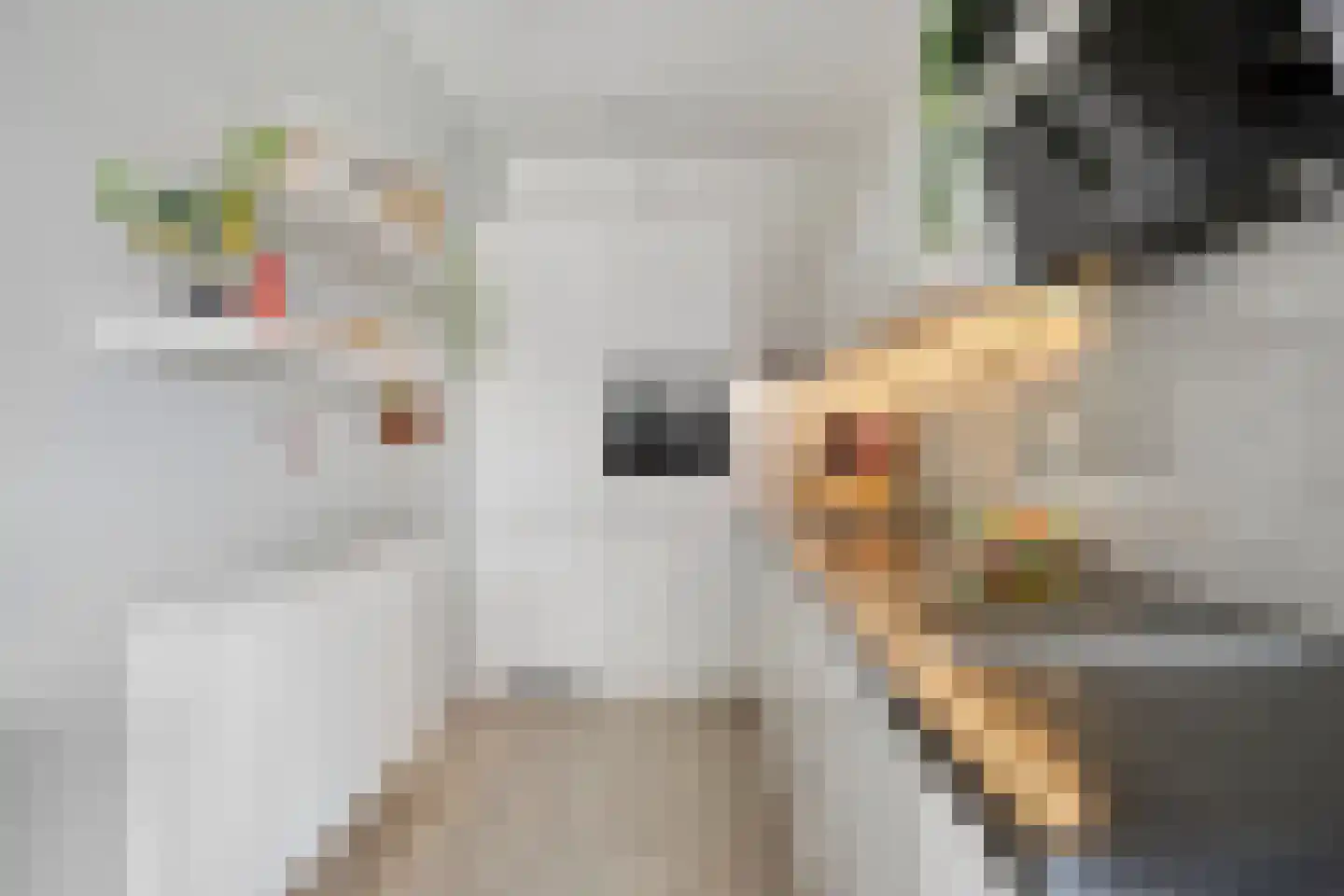 Meerplein 89 Eindhoven thumbnail 17