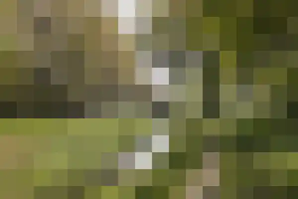 Meerplein 91 Eindhoven thumbnail 37