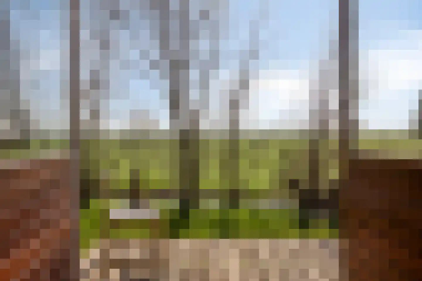 Meerpolder 44 Zoetermeer thumbnail 10