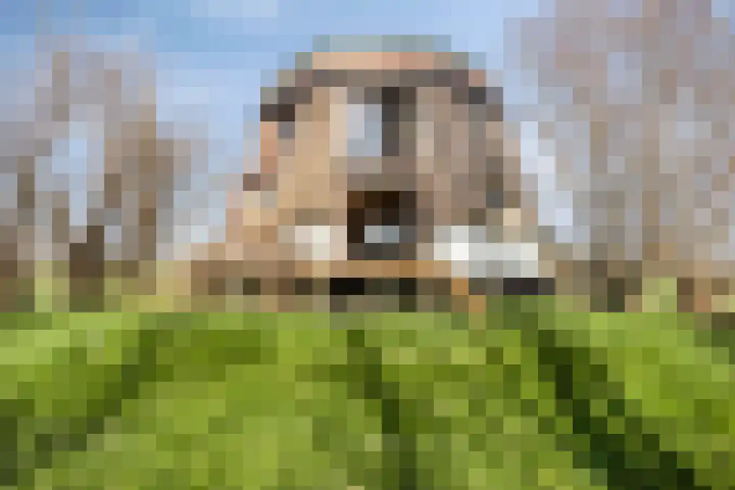 Meerpolder 44 Zoetermeer thumbnail 11