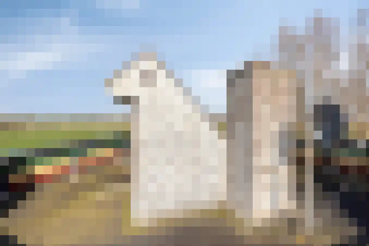 Meerpolder 44 Zoetermeer thumbnail 18