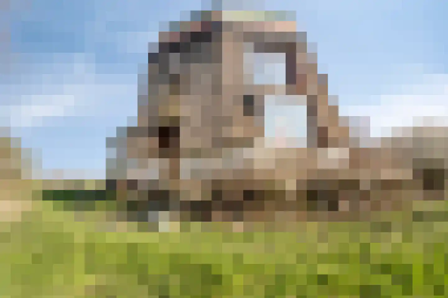 Meerpolder 44 Zoetermeer thumbnail 23
