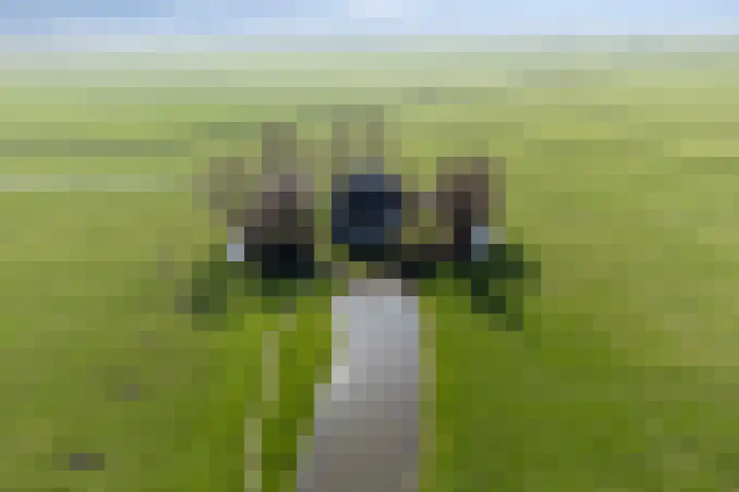 Meerpolder 44 Zoetermeer thumbnail 24