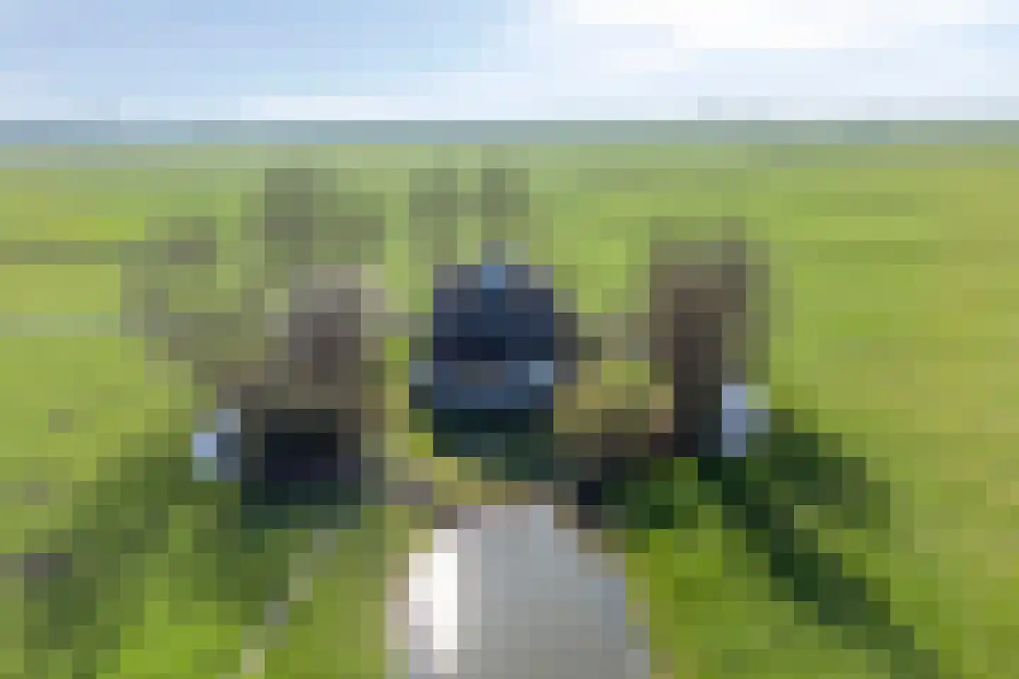 Meerpolder 44 Zoetermeer thumbnail 25