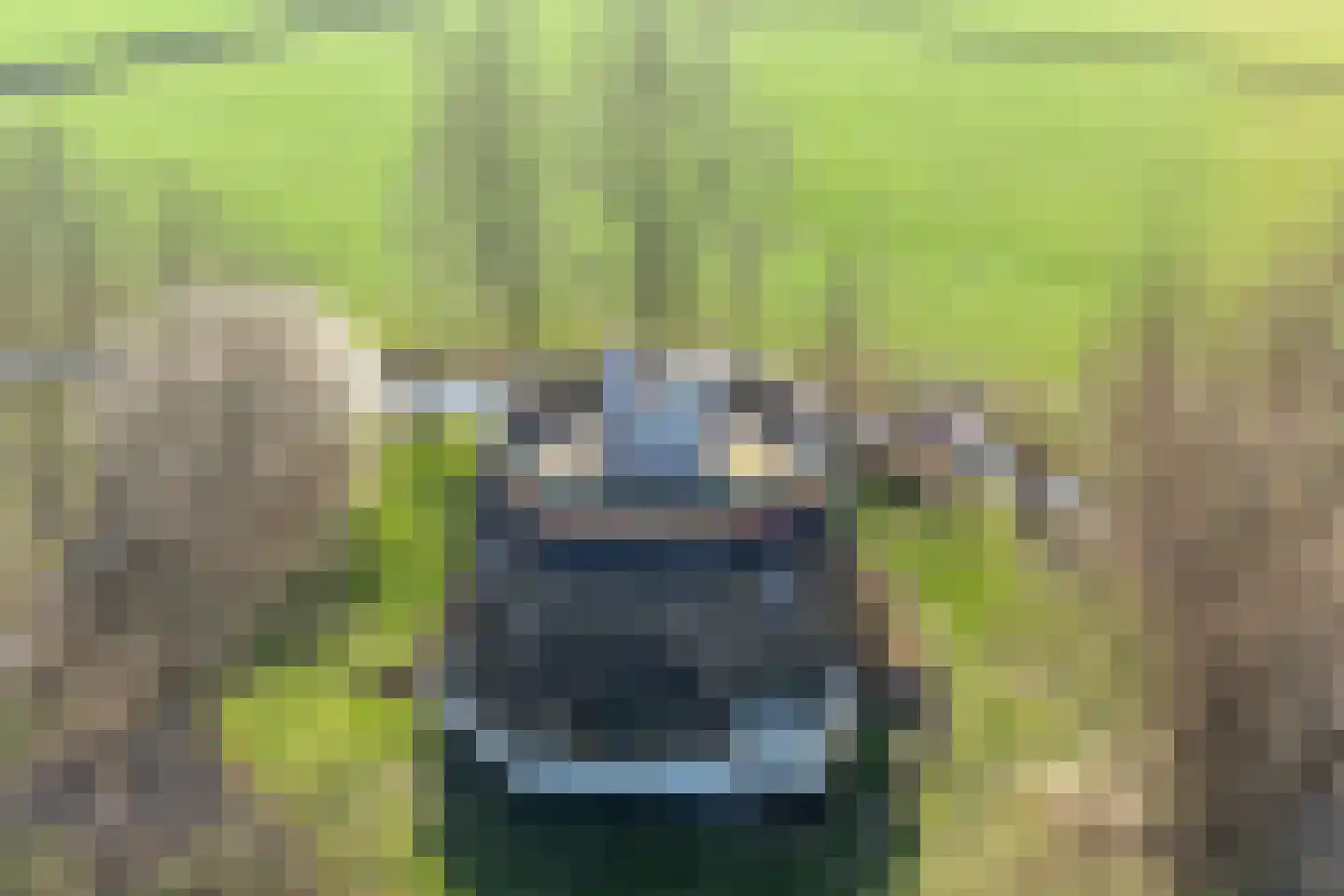 Meerpolder 44 Zoetermeer thumbnail 27