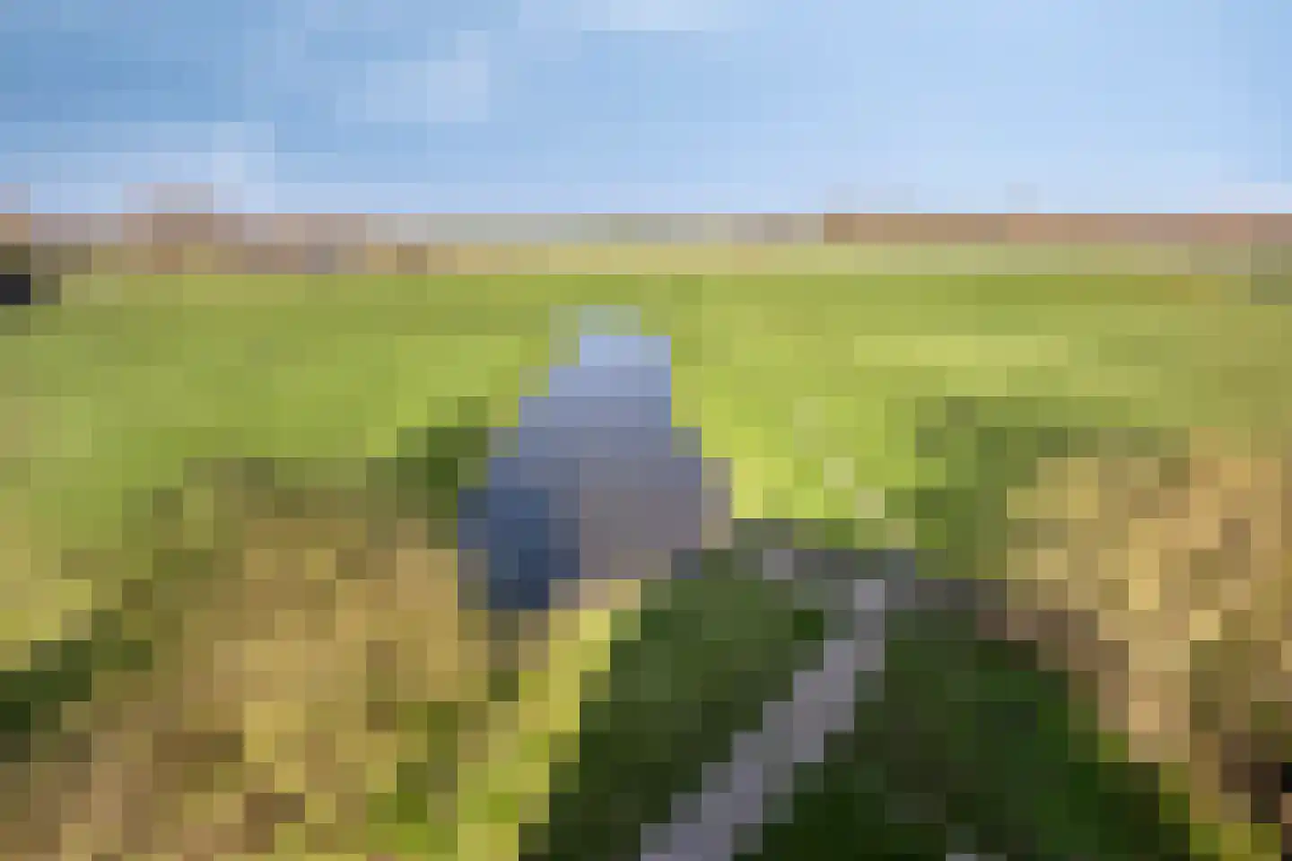 Meerpolder 44 Zoetermeer thumbnail 29