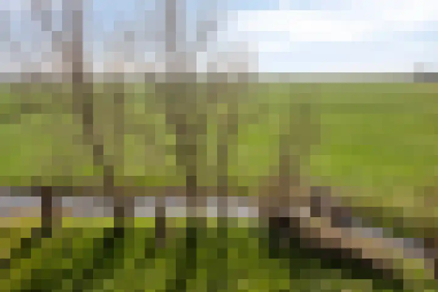Meerpolder 44 Zoetermeer thumbnail 31